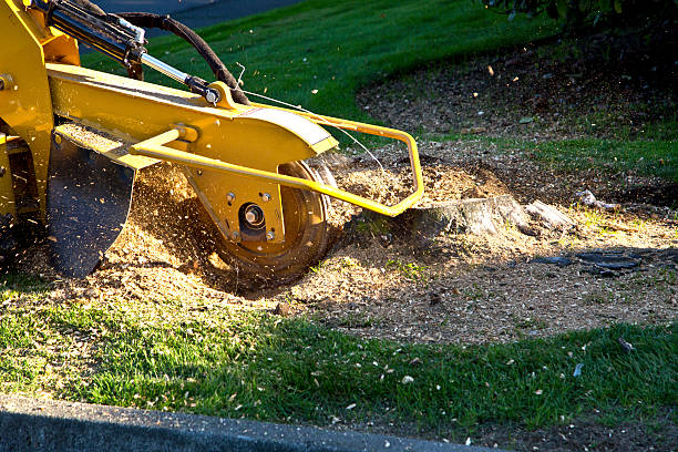 Mulching Services in Lindsborg, KS