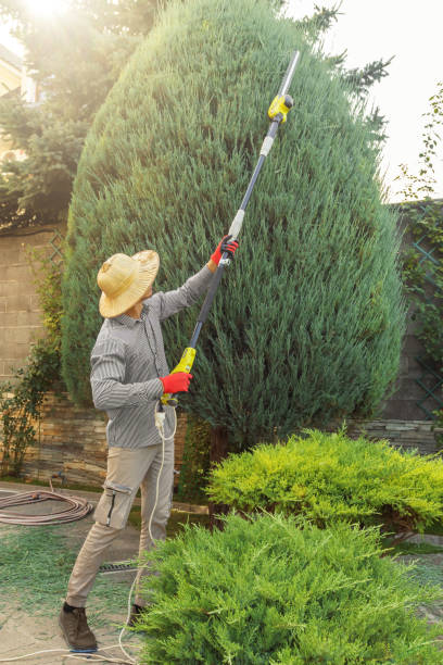 Best Arborist Consultation Services  in Lindsborg, KS